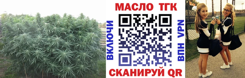 ТГК концентрат  закладки  Радужный 