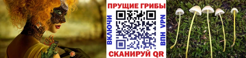мега маркетплейс  Радужный  Псилоцибиновые грибы мухоморы  наркотики 